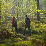 Отель Tiefenhagen Sauerland 2*