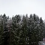 Tiefenhagen Sauerland 2*