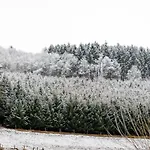 Tiefenhagen Sauerland Lennestadt