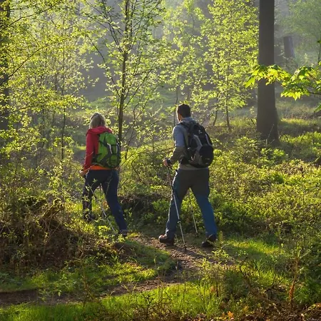 Szálloda Tiefenhagen Sauerland 2*