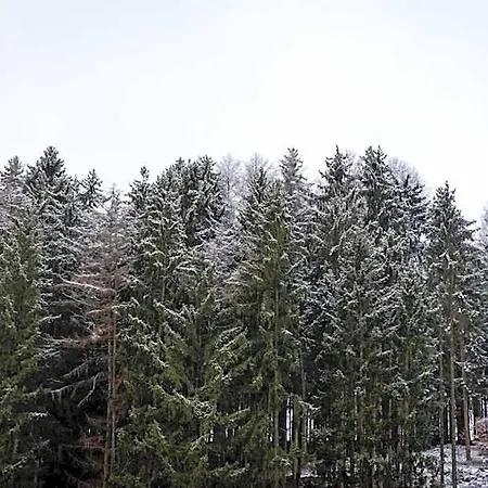 Tiefenhagen Sauerland מלון