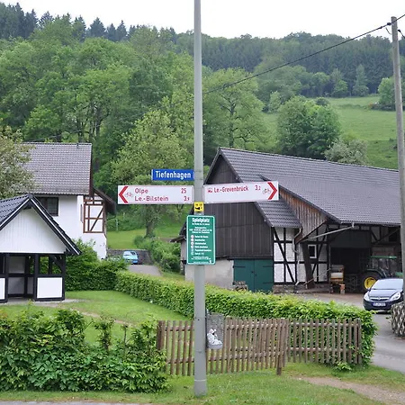 Hotel Tiefenhagen Sauerland 2*