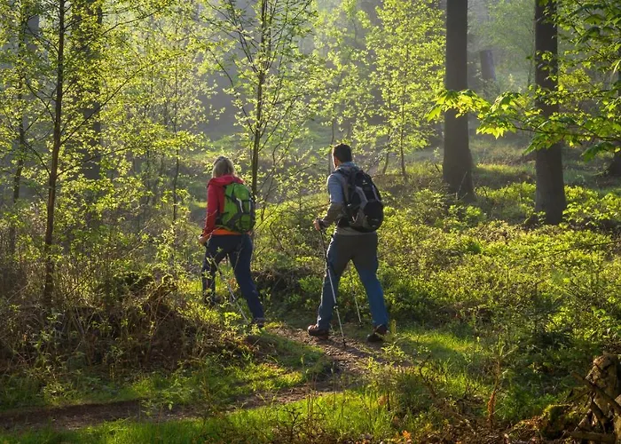 ホテル Tiefenhagen Sauerland 2*