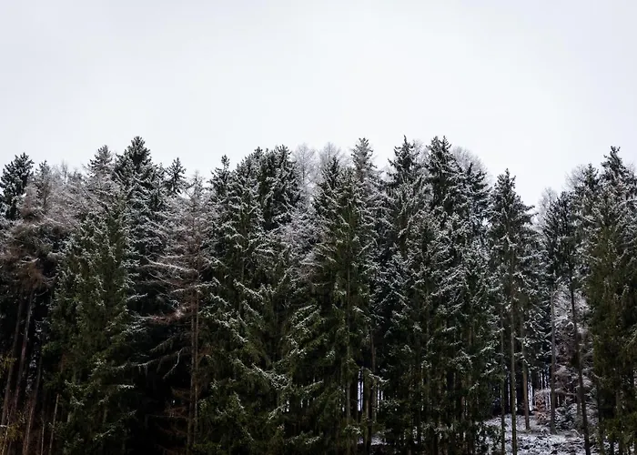 Tiefenhagen Sauerland 2*