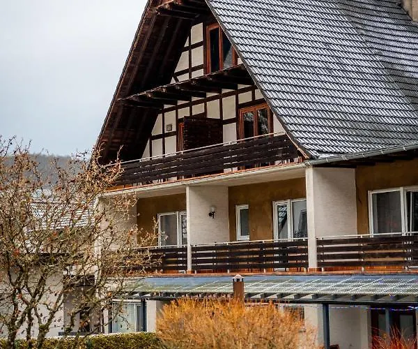 Tiefenhagen Sauerland 酒店 伦讷施塔特