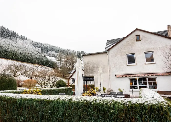 ホテル Tiefenhagen Sauerland 2*